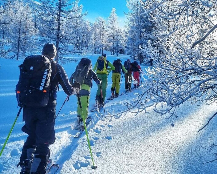 A group of skiers on a snowy trail with trees in the background. 1