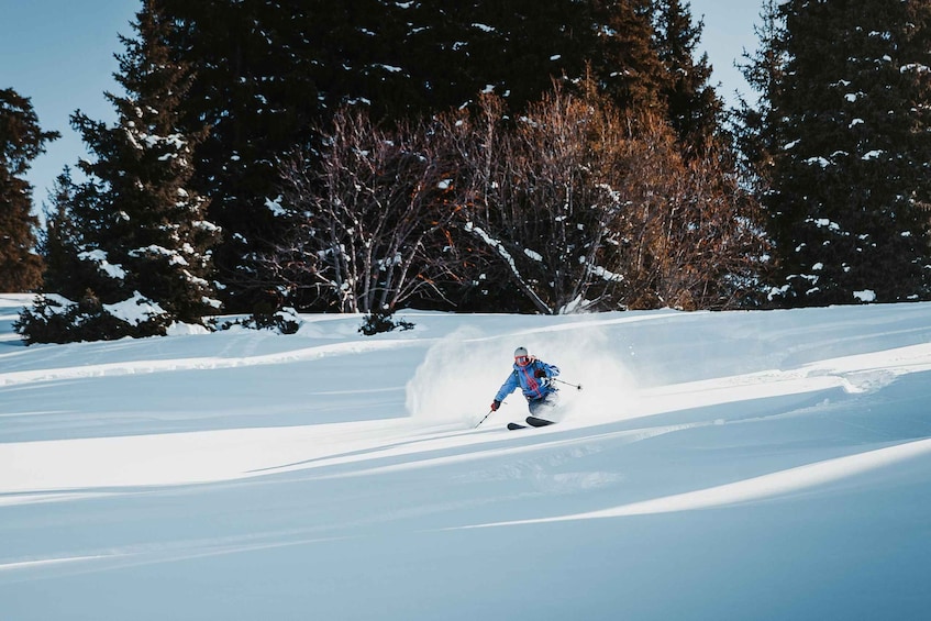 A skier carving through deep snow with trees in the background. 1