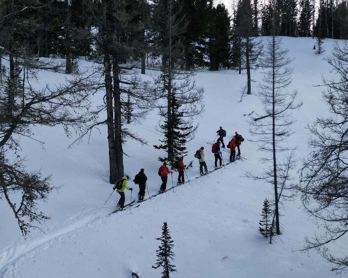 A group of skiers descending a snowy slope surrounded by trees. 4