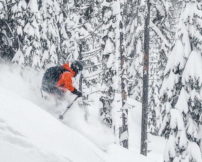 A skier in an orange jacket descending a snowy slope. 5
