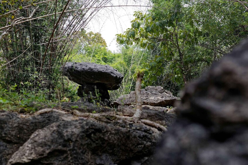 A forest with large rocks and dense greenery. 3