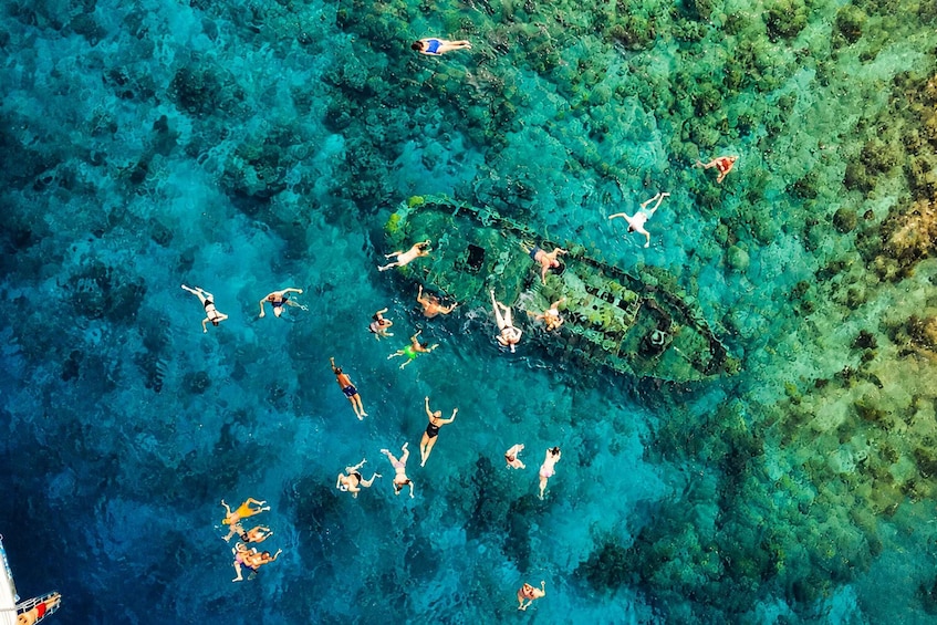 A group of people swimming and snorkeling in a clear blue sea with a shipwreck. 2