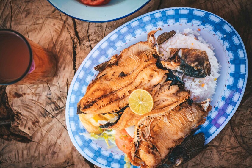 A plate of grilled fish with rice and a slice of lemon on a blue and white checkered plate. 5