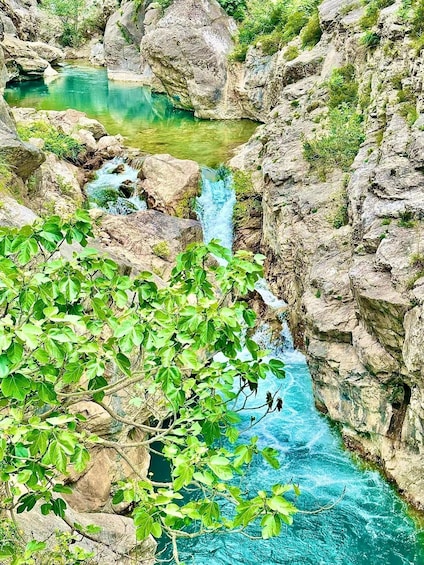 A clear stream flowing over rocks, surrounded by greenery. 4