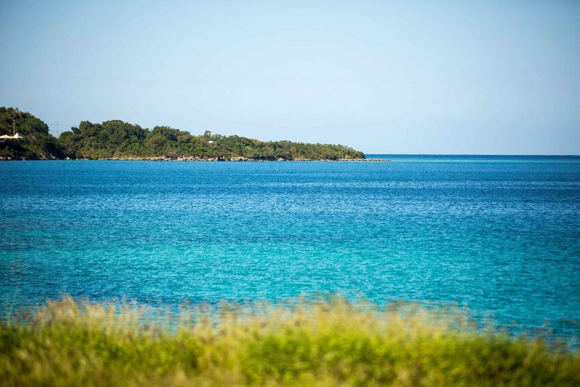 A coastal landscape with a clear blue sea, a grassy foreground, and a tree-covered hill in the distance. 2