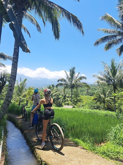 Two people on a bicycle path with a lush green landscape and palm trees. 1
