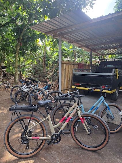 A covered bike parking area with various bicycles, a truck, and lush greenery in the background. 4