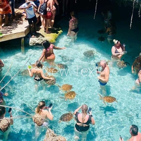 People swimming with sea turtles in a clear blue pool. 3