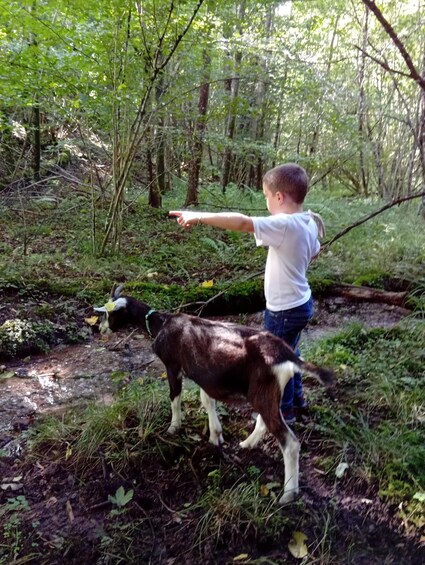 A person with a dog in a forested area. 3
