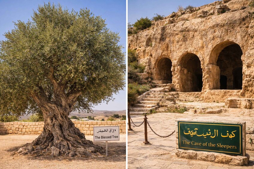 A large ancient tree labeled 'The Blessed Tree' and an archaeological site with arches labeled 'The Cave of the Sleepers.' 1