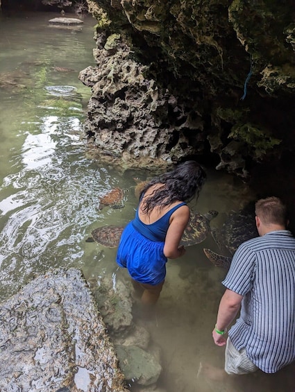 A person in blue shorts and a striped shirt observing turtles in a shallow water area with rocky surroundings. 3
