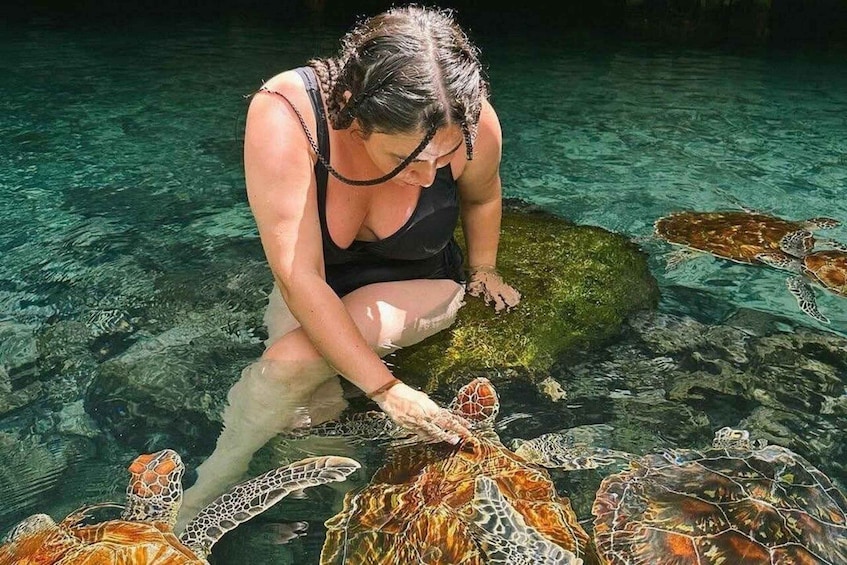 A person in a black swimsuit interacting with sea turtles in clear water. 5