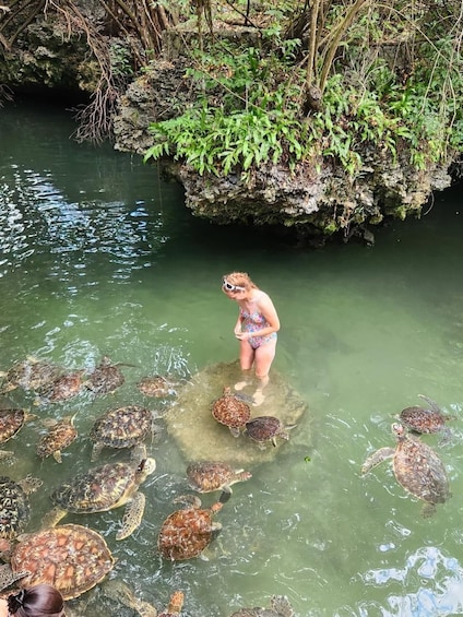 A person standing in a body of water surrounded by sea turtles. 2