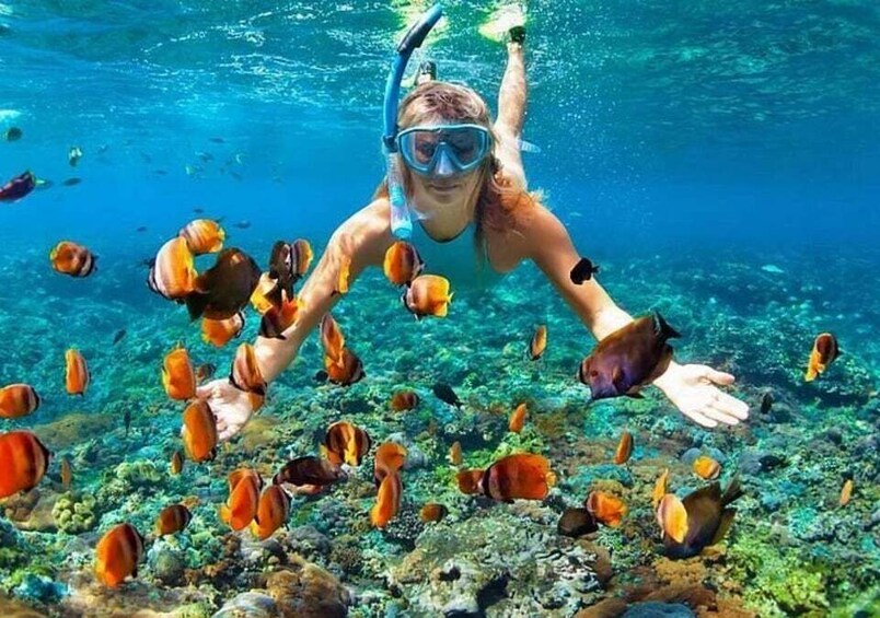 A person snorkeling underwater surrounded by various fish. 3