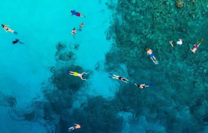 A group of people snorkeling in clear blue water. 1