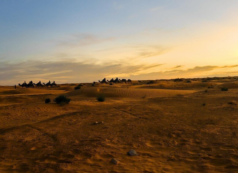 A desert landscape with sand dunes and a group of camels in the distance. 2
