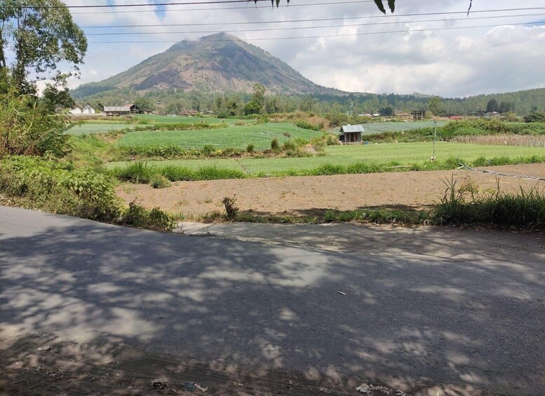 A rural landscape with a mountain in the background, green fields, and a road in the foreground. 5