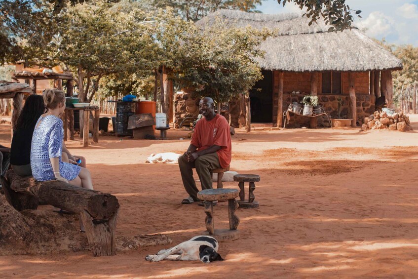 A rural setting with a thatched-roof hut, a wooden bench, and a dog lying on the ground. 3