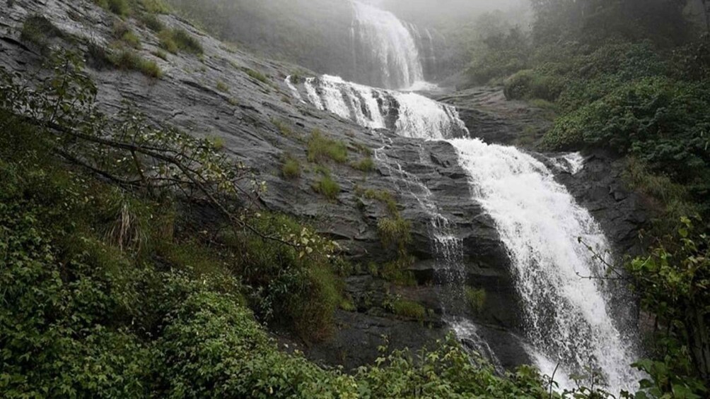 A waterfall cascading down a rocky cliff surrounded by lush greenery. 2