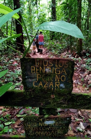 A moss-covered sign with inscriptions in a forest. 1