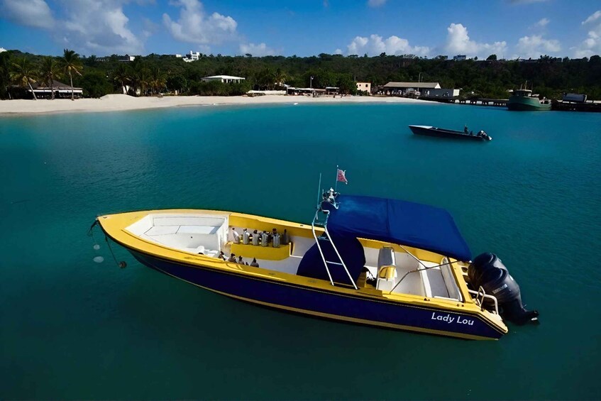 A yellow and blue boat named 'Lady Lou' anchored near a beach with clear turquoise water and a backdrop of houses and palm trees. 4