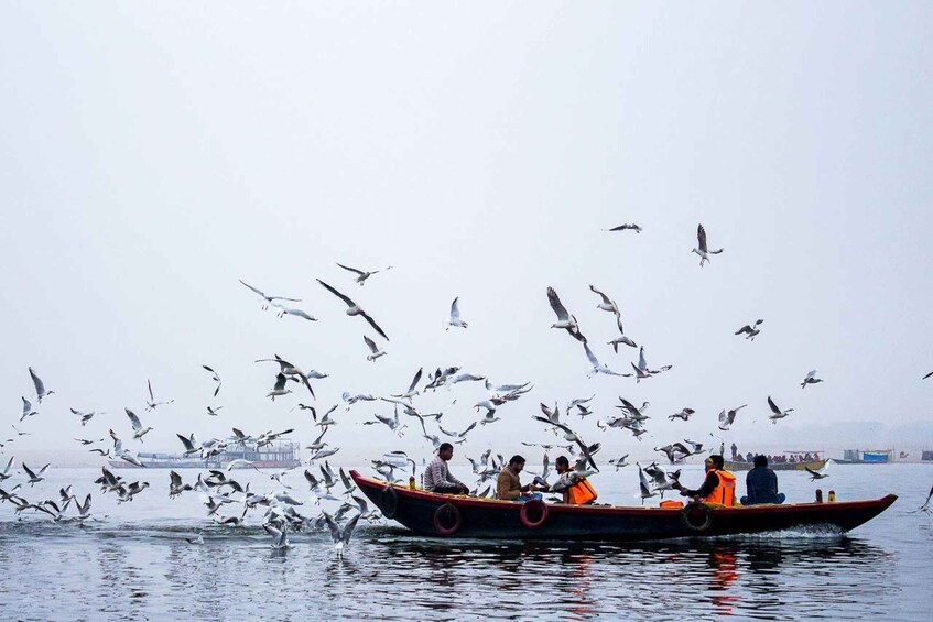 Un bote con gente y gaviotas en un día neblinoso. 5
