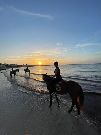 A sunset over a beach with people riding horses along the shore. 1