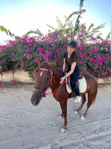 A person riding a horse with a saddle, in front of a wall with pink flowers. 5