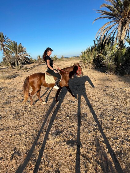 A person riding a horse in a dry, open landscape with palm trees. 3