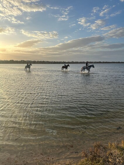 Three horses crossing a body of water with a distant shoreline and a cloudy sky. 4