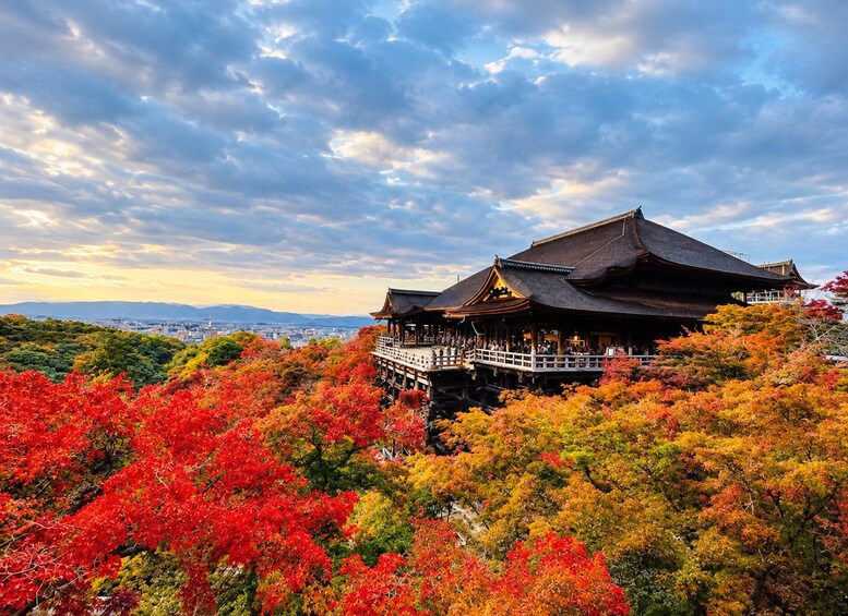 Picture 1 for Activity Private Kyoto Tour with English-Speaking Guide and Driver 2