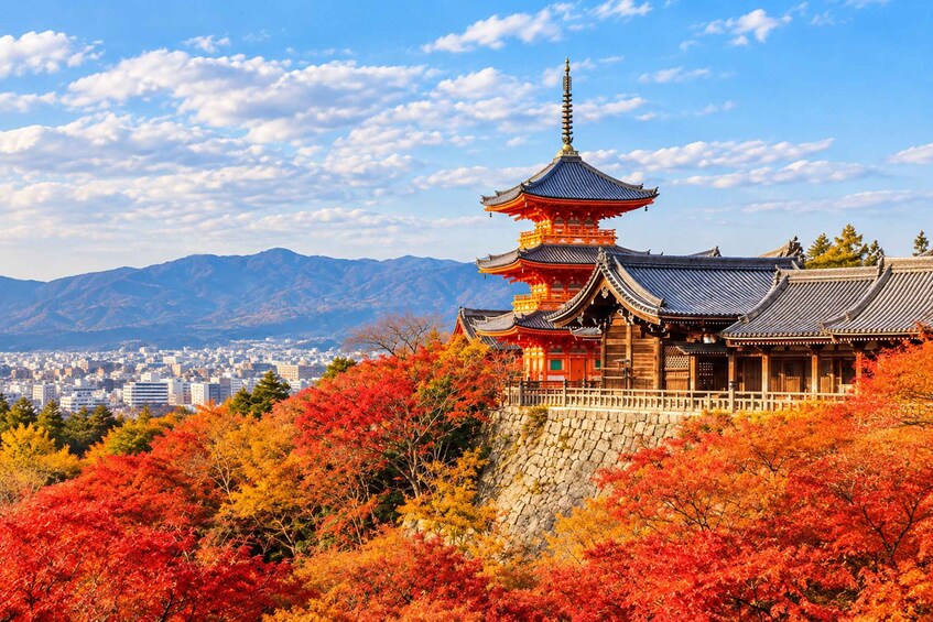 Private Kyoto Tour with English-Speaking Guide and Driver 1