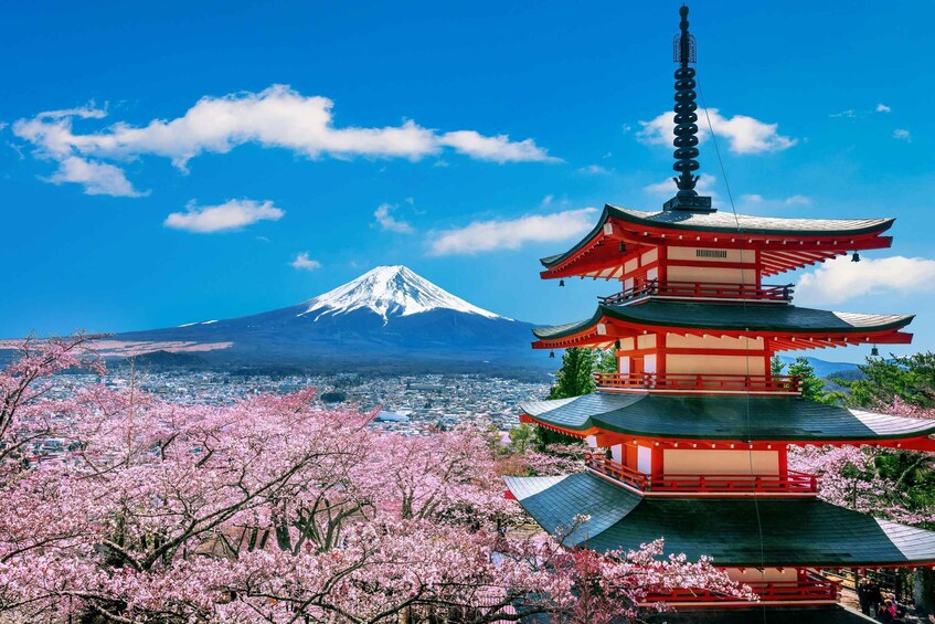 A pagoda, cherry blossoms, and Mount Fuji. 4