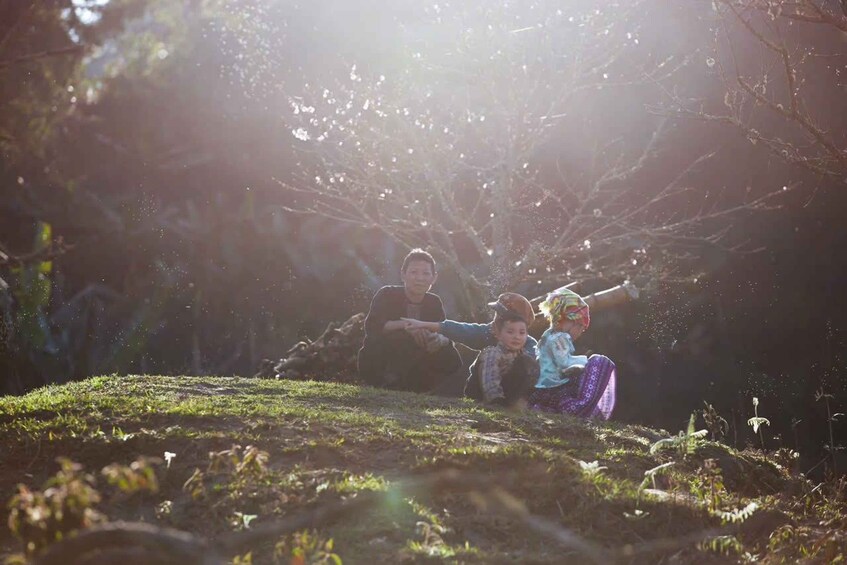 A group of people sitting on a grassy hill with sunlight filtering through trees. 4