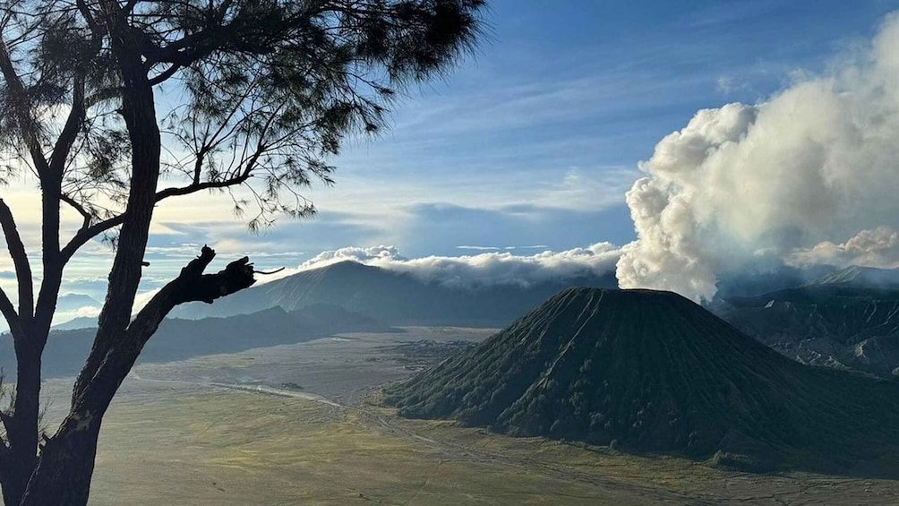 Bromo sunrise tour from Surabaya, Malang, or Probolinggo 1