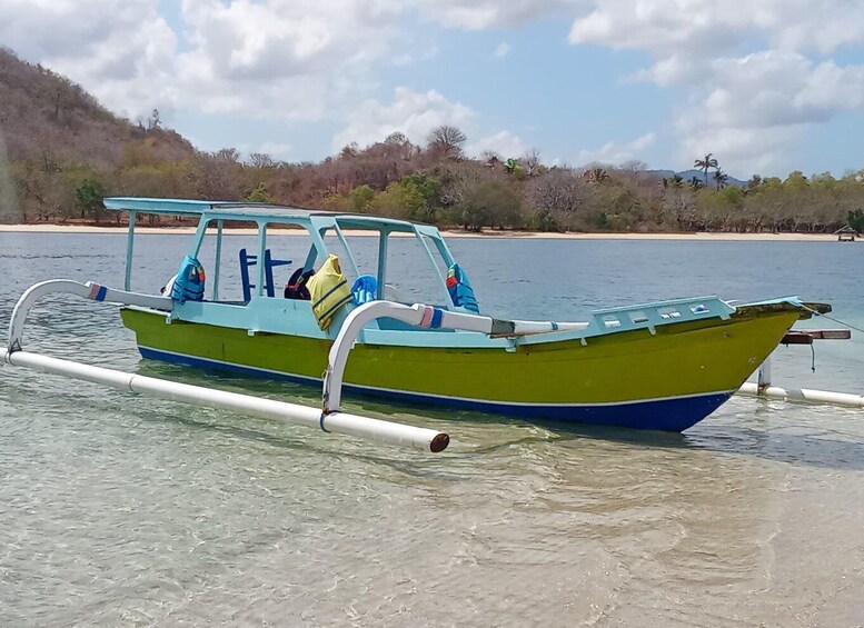 A green and blue boat with a canopy, docked at a sandy beach with a forested hill in the background. 3