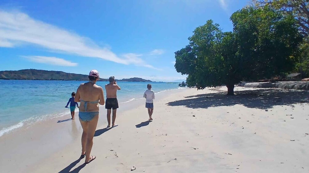 A beach with people walking along the shore, a clear sky, and distant hills. 4