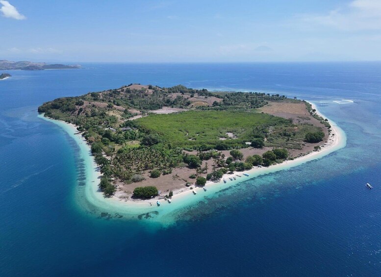 An island with a beach, clear waters, and dense vegetation. 5