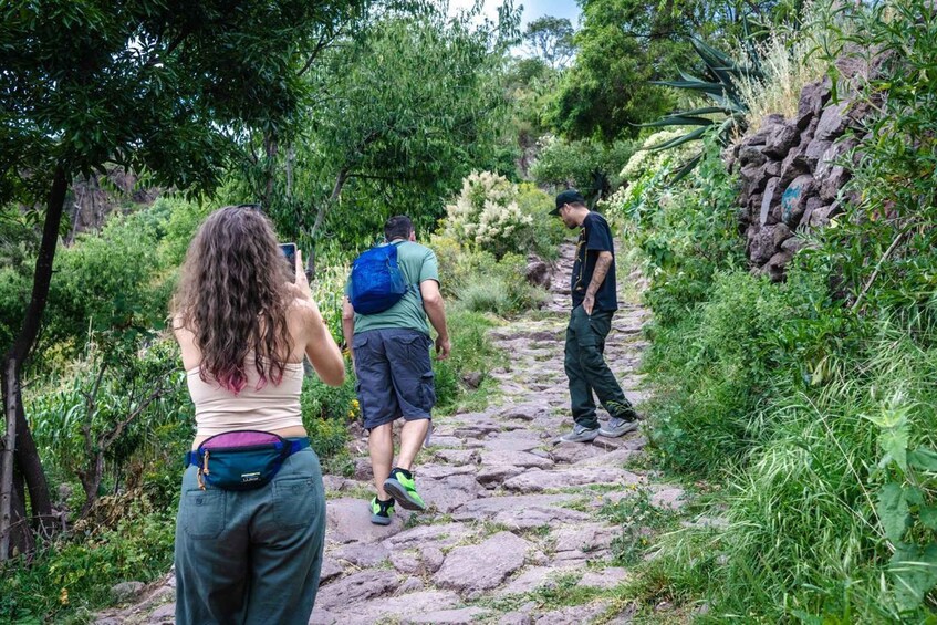 A group of hikers on a rocky trail surrounded by lush greenery. 2