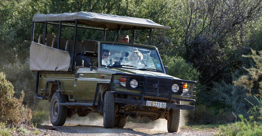 A safari vehicle driving on a dirt road surrounded by trees. 2