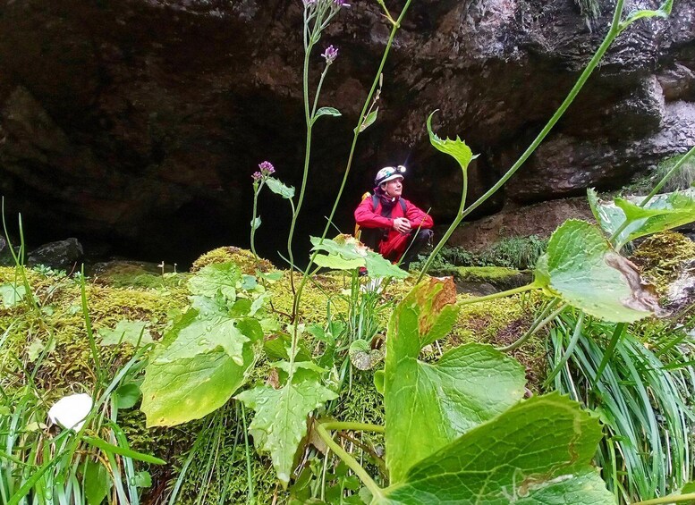 A person in a red jacket exploring a mossy cave entrance with large green leaves and a rocky background. 2