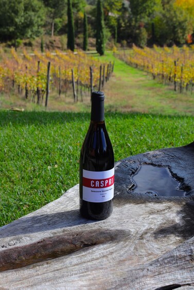 A bottle of CASPRI wine on a wooden surface with a vineyard in the background. 4
