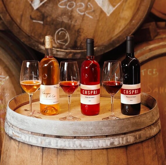 A wine tasting setup with three bottles and three glasses on a barrel. 5