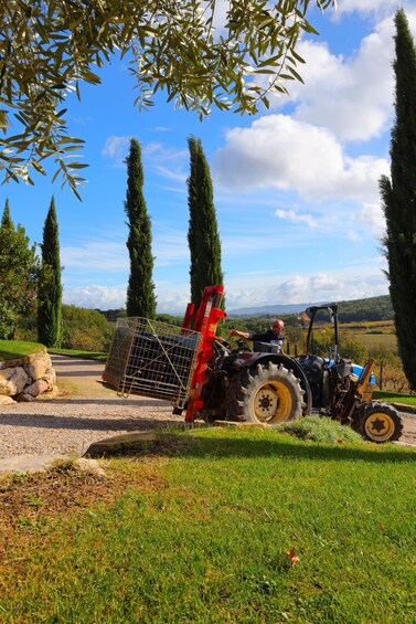 A tractor with a trailer on a gravel path, surrounded by greenery and tall trees. 2