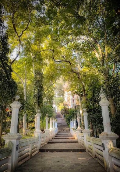 A stone pathway flanked by white columns leading to a building. 2