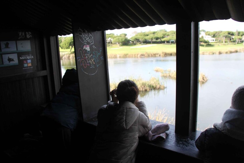 A person sitting by a window overlooking a lake with grass and trees in the background. 4