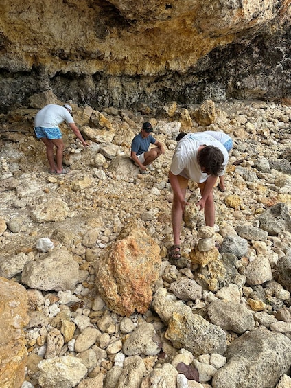 Three people examining rocks on a rocky terrain with a cave in the background. 1