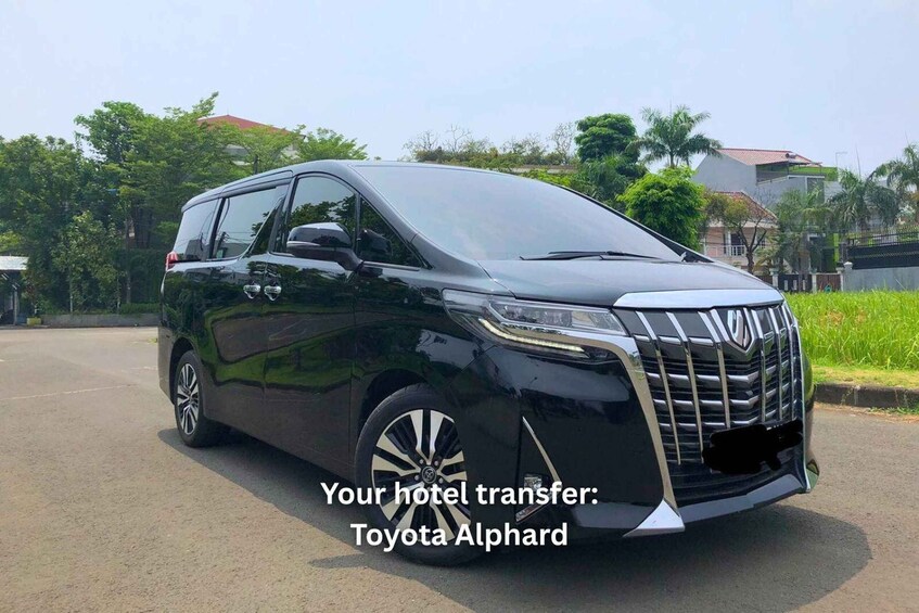 A black Toyota Alphard parked on a street with greenery and houses in the background. 4