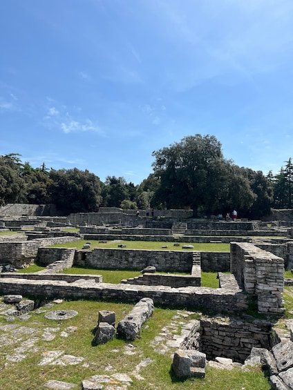 Ancient stone ruins with grassy areas and trees in the background. 2