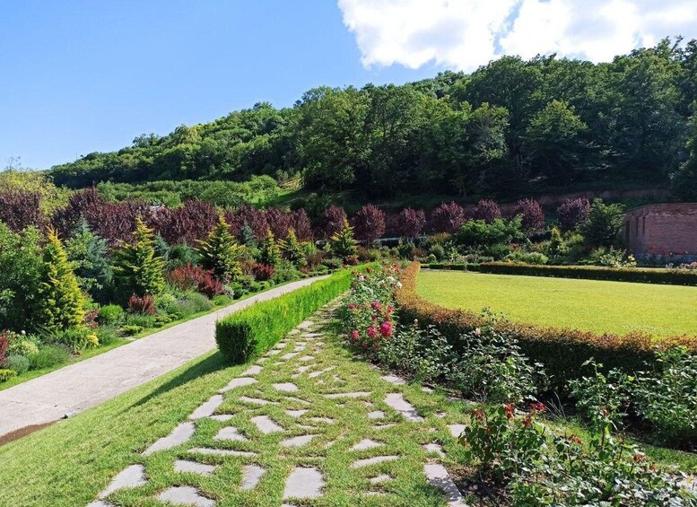 A garden with a stone pathway, various plants, and a grassy area. 2